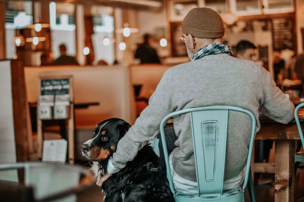 A dog settled in next to its owner at Josiah's